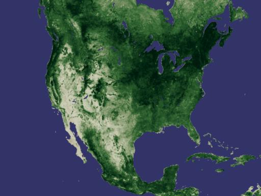 NDVI measurement for North America August 1988