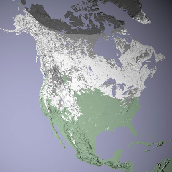 MODIS satellite shows snow cover for North America in January 2004.