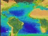 Atlantic SeaWiFS Image