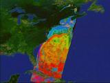 Thermal Gulf Stream Image