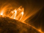 coronal loops