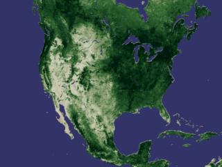 ndvi average 1988
