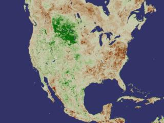 ndvi average 1993