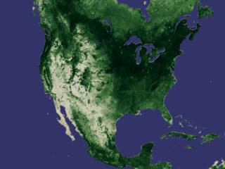 ndvi 2000