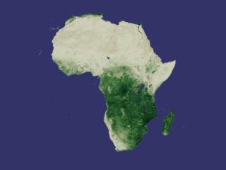 ndvi 2000