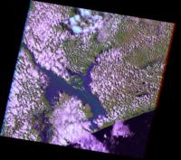Mozambique False Color after Flood (Feb 2000)