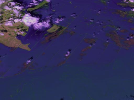 Mozambique Flood (Feb 2000)