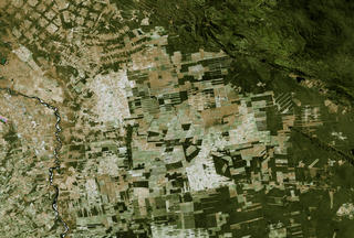 Deforestation in Bolivia