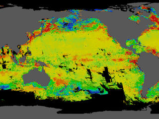 Phytoplankton in the Pacific