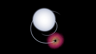 Link to Recent Story entitled: Black Holes and Their Companions Close Up