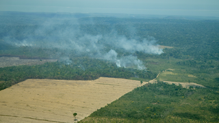 Link to Recent Story entitled: Tracking Amazon Deforestation
