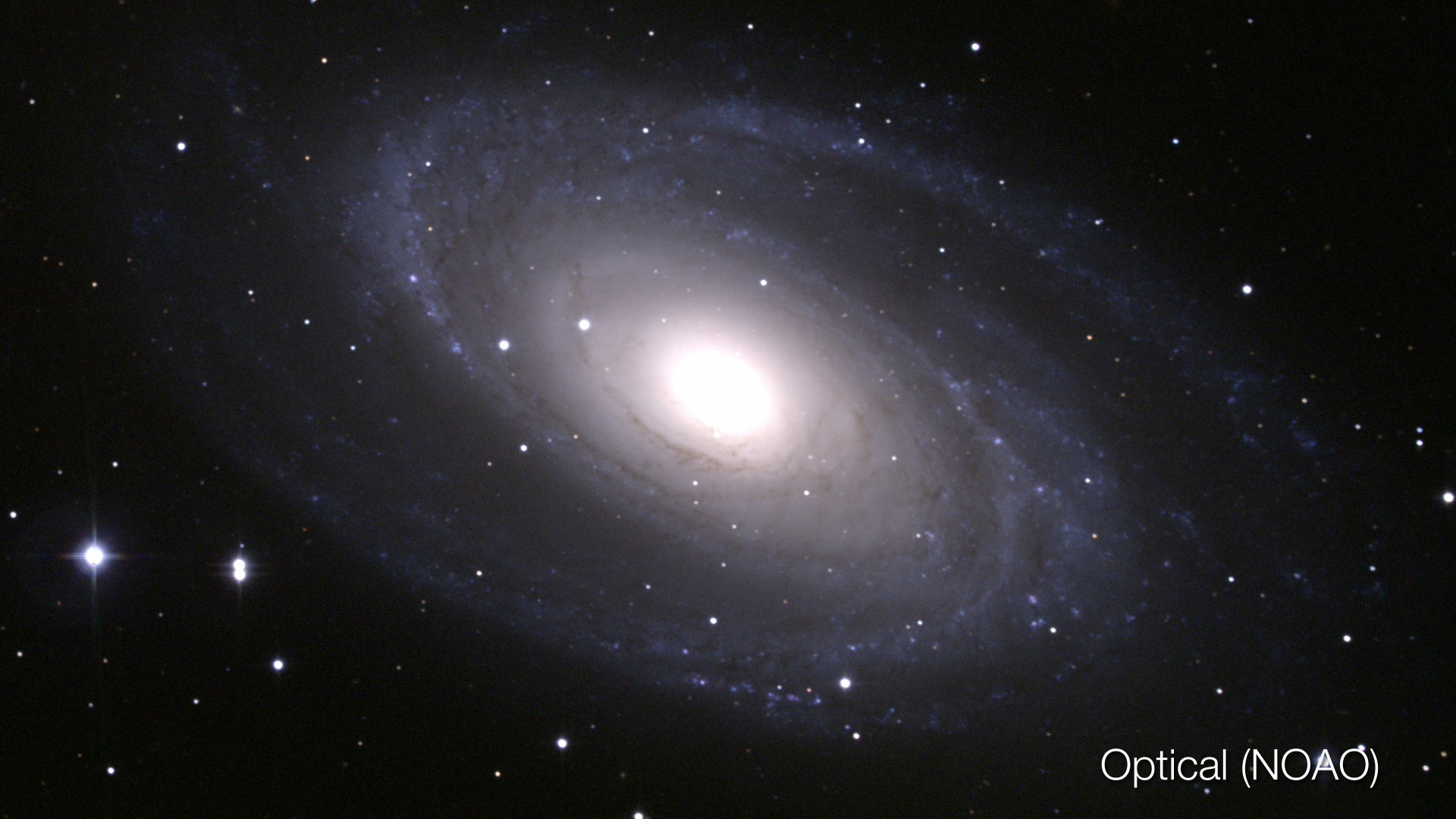 Preview Image for Messier 81 in Multiple Wavelengths